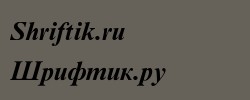 Times New Roman Cyr Bold Italic 